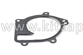Прокладка водяного насоса Chery Indis 473H-1307041