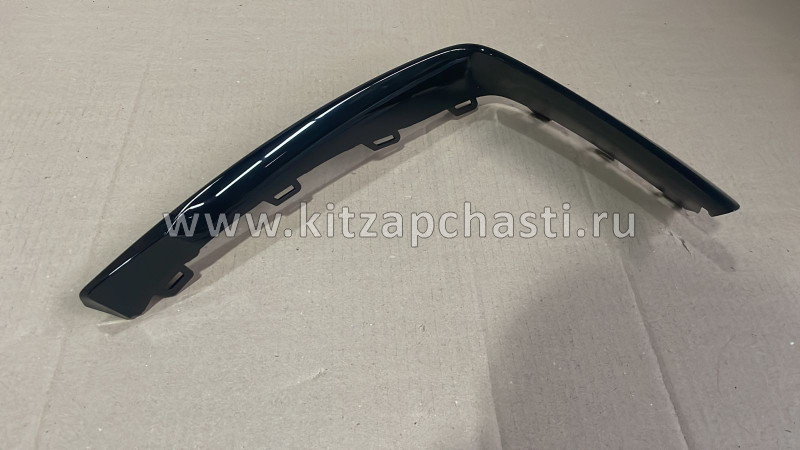 РАМКА ПРОТИВОТУМАННОЙ ФАРЫ ЛЕВАЯ GEELY TUGELLA 6010172900